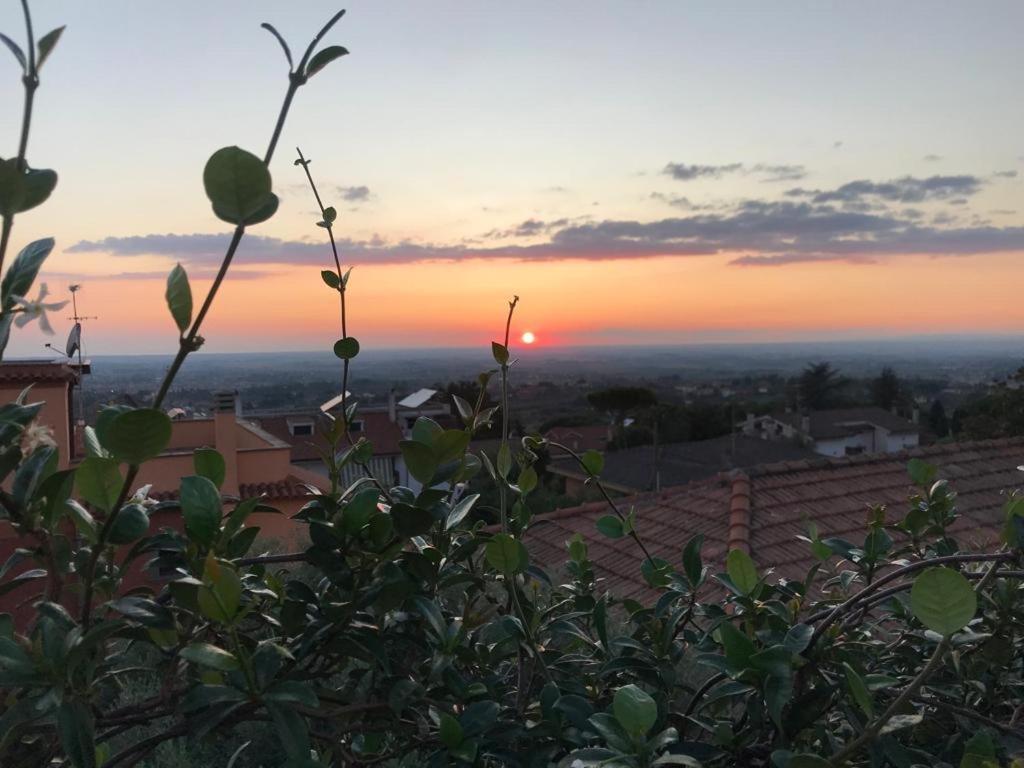 Villa Maximo Apartment Albano Laziale Eksteriør bilde