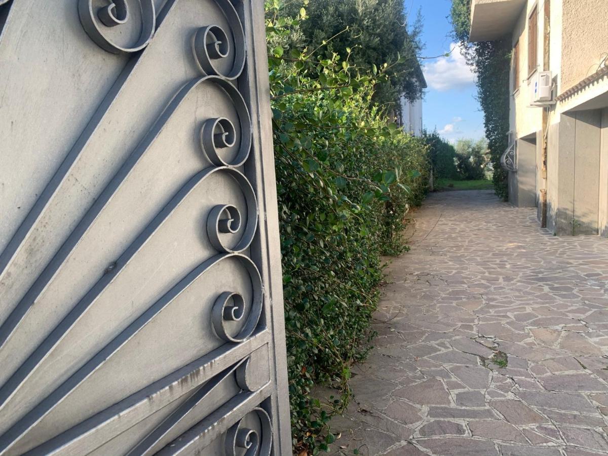 Villa Maximo Apartment Albano Laziale Eksteriør bilde
